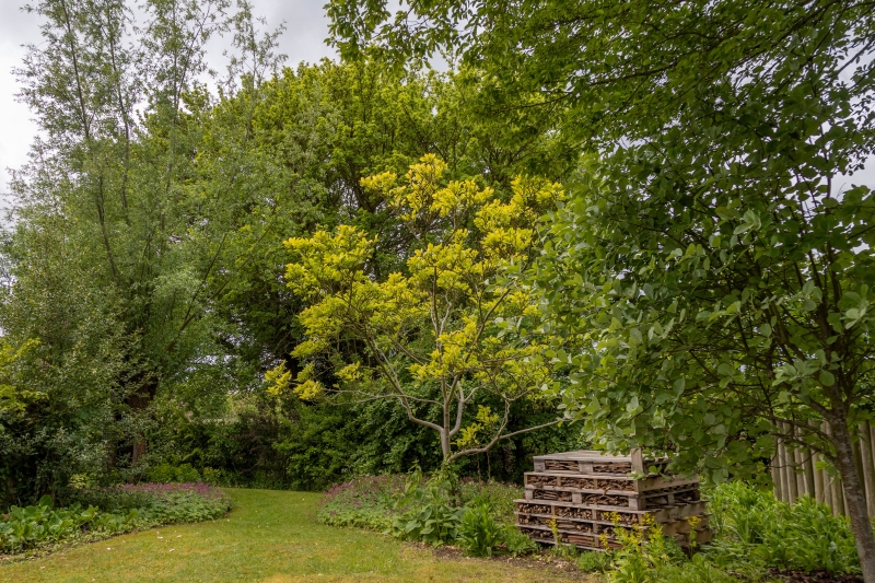 Bramble House